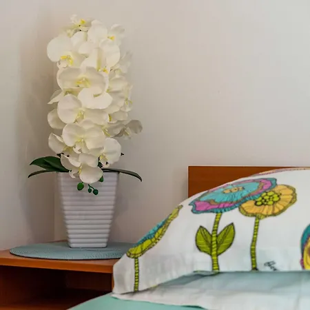 And Frane * 杜布罗夫尼克