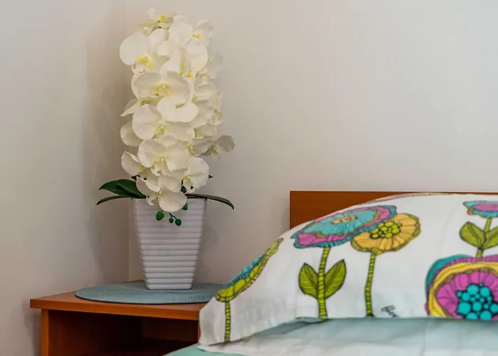 And Frane * 杜布罗夫尼克