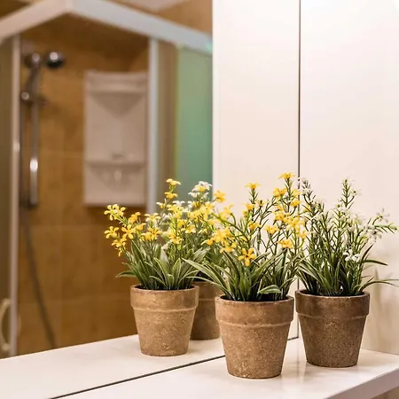 And Frane アパート *