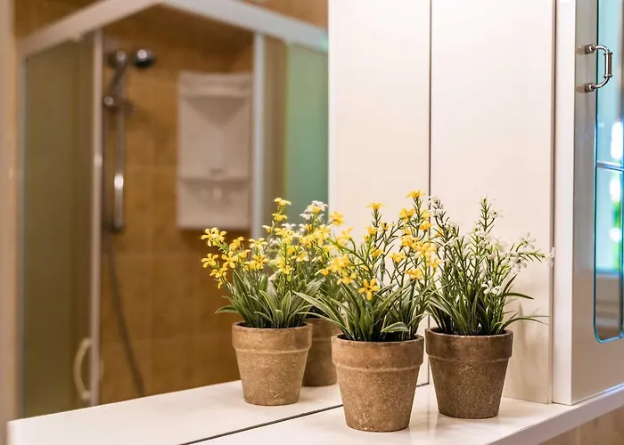 And Frane Apartman *